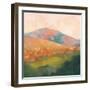 Mountain Morning Pink-Julia Purinton-Framed Art Print