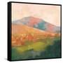 Mountain Morning Pink-Julia Purinton-Framed Stretched Canvas