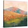 Mountain Morning Pink-Julia Purinton-Stretched Canvas