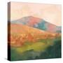 Mountain Morning Pink-Julia Purinton-Stretched Canvas