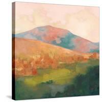 Mountain Morning Pink-Julia Purinton-Stretched Canvas