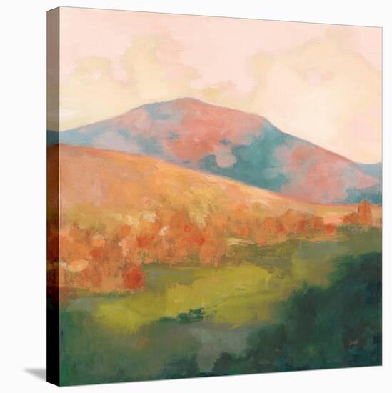 Mountain Morning Pink-Julia Purinton-Stretched Canvas