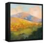 Mountain Morning-Julia Purinton-Framed Stretched Canvas