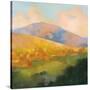 Mountain Morning-Julia Purinton-Stretched Canvas