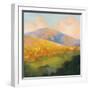 Mountain Morning-Julia Purinton-Framed Art Print