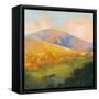 Mountain Morning-Julia Purinton-Framed Stretched Canvas