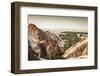 Mountain Oasis Chebika at Border of Sahara, Tunisia, Africa-perszing1982-Framed Photographic Print