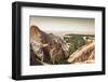 Mountain Oasis Chebika at Border of Sahara, Tunisia, Africa-perszing1982-Framed Photographic Print