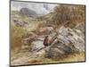 Mountain Pass at Bettws-Y-Coed, 1851-David Cox-Mounted Giclee Print