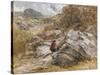 Mountain Pass at Bettws-Y-Coed, 1851-David Cox-Stretched Canvas