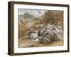 Mountain Pass at Bettws-Y-Coed, 1851-David Cox-Framed Giclee Print