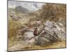 Mountain Pass at Bettws-Y-Coed, 1851-David Cox-Mounted Giclee Print
