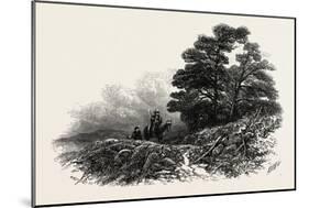 Mountain Path Near Capel Curig, UK-null-Mounted Giclee Print