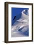 Mountain Peak on Wiencke Island-Paul Souders-Framed Photographic Print