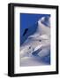 Mountain Peak on Wiencke Island-Paul Souders-Framed Photographic Print