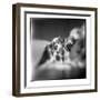 Mountain peaks along Lemaire Channel, Antarctica-Paul Souders-Framed Photographic Print