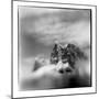 Mountain peaks along Lemaire Channel, Antarctica-Paul Souders-Mounted Photographic Print