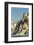 Mountain Peaks, Lemaire Channel, Antarctica-Paul Souders-Framed Photographic Print