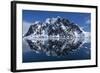 Mountain Peaks, Lemaire Channel, Antarctica-null-Framed Photographic Print