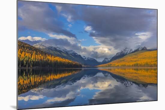 Mountain peaks reflect into Bowman Lake in autumn, Glacier National Park, Montana, USA-Chuck Haney-Mounted Photographic Print