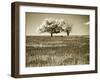 Mountain Picnic II-Alan Hausenflock-Framed Photographic Print