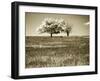 Mountain Picnic II-Alan Hausenflock-Framed Photographic Print