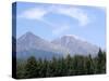 Mountain Pines, Vysoke Tatry Mountains, Vysoke Tatry, Slovakia-Richard Nebesky-Stretched Canvas