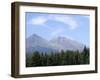 Mountain Pines, Vysoke Tatry Mountains, Vysoke Tatry, Slovakia-Richard Nebesky-Framed Photographic Print