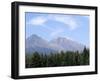 Mountain Pines, Vysoke Tatry Mountains, Vysoke Tatry, Slovakia-Richard Nebesky-Framed Photographic Print