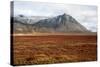 Mountain, Porgeirsfell/Thorgeirsfell, Snaefellsnes, West Iceland-Julia Wellner-Stretched Canvas