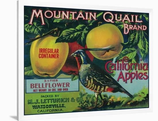 Mountain Quail Apple Crate Label - Watsonville, CA-Lantern Press-Framed Art Print