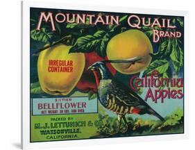 Mountain Quail Apple Crate Label - Watsonville, CA-Lantern Press-Framed Art Print