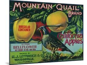 Mountain Quail Apple Crate Label - Watsonville, CA-Lantern Press-Mounted Art Print