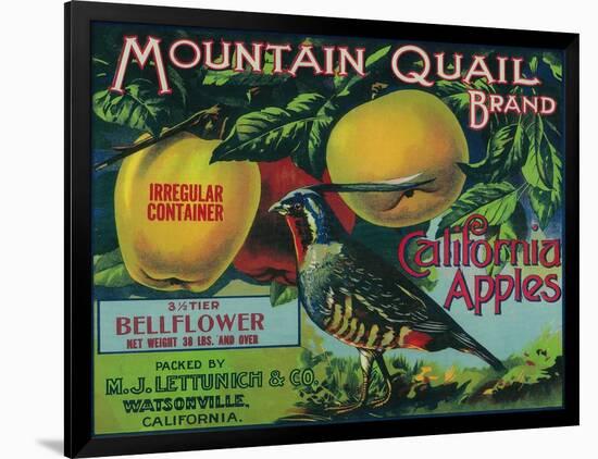 Mountain Quail Apple Crate Label - Watsonville, CA-Lantern Press-Framed Art Print