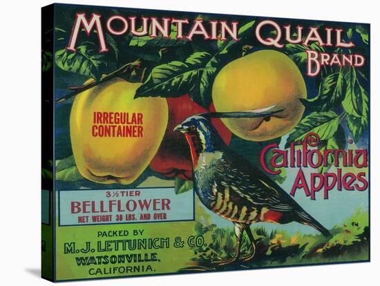 Mountain Quail Apple Crate Label - Watsonville, CA-Lantern Press-Stretched Canvas