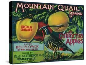 Mountain Quail Apple Crate Label - Watsonville, CA-Lantern Press-Stretched Canvas