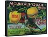 Mountain Quail Apple Crate Label - Watsonville, CA-Lantern Press-Framed Stretched Canvas