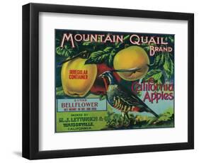 Mountain Quail Apple Crate Label - Watsonville, CA-Lantern Press-Framed Art Print