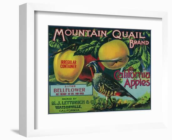 Mountain Quail Apple Crate Label - Watsonville, CA-Lantern Press-Framed Art Print