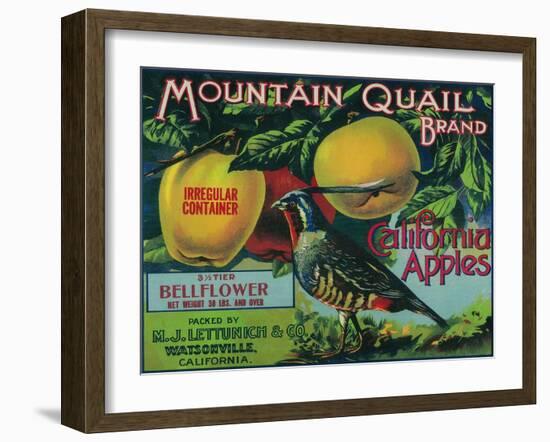 Mountain Quail Apple Crate Label - Watsonville, CA-Lantern Press-Framed Art Print