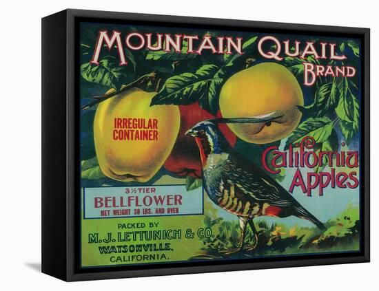 Mountain Quail Apple Crate Label - Watsonville, CA-Lantern Press-Framed Stretched Canvas
