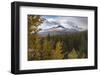 Mountain range at Morant's Curve in autumn foliage, Banff National Park, Alberta, Canada-Jon Reaves-Framed Photographic Print