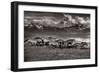 Mountain Range Mavericks-Lisa Dearing-Framed Photographic Print