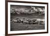 Mountain Range Mavericks-Lisa Dearing-Framed Photographic Print