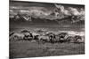 Mountain Range Mavericks-Lisa Dearing-Mounted Photographic Print