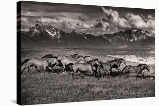 Mountain Range Mavericks-Lisa Dearing-Stretched Canvas
