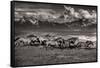 Mountain Range Mavericks-Lisa Dearing-Framed Stretched Canvas