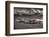 Mountain Range Mavericks-Lisa Dearing-Framed Photographic Print