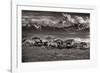 Mountain Range Mavericks-Lisa Dearing-Framed Photographic Print