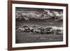 Mountain Range Mavericks-Lisa Dearing-Framed Photographic Print